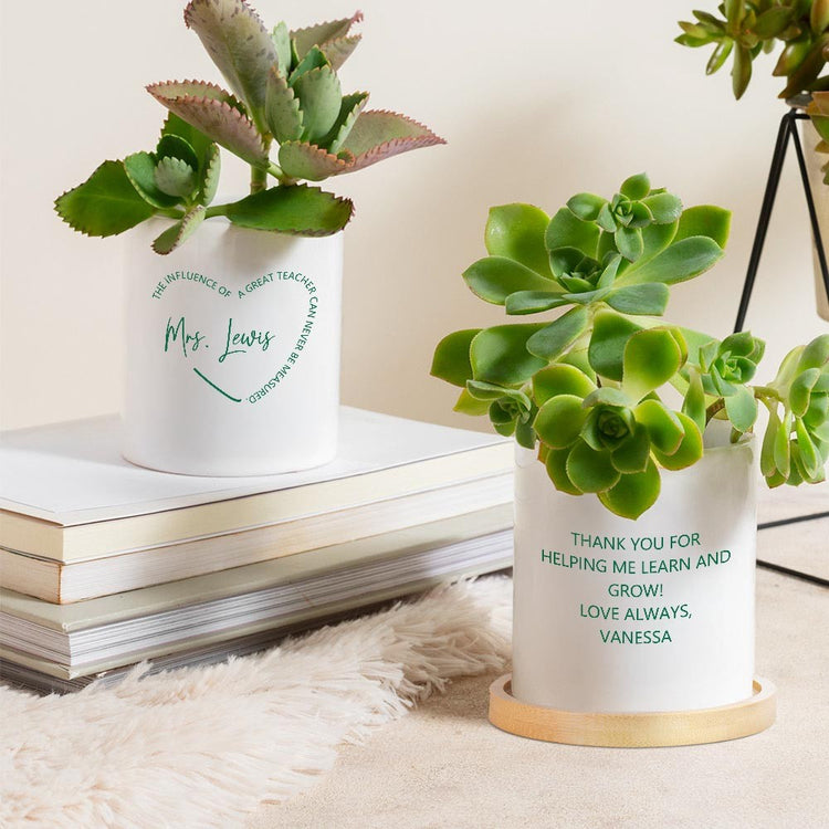 Ceramic teacher planter gift for teacher appreciation day